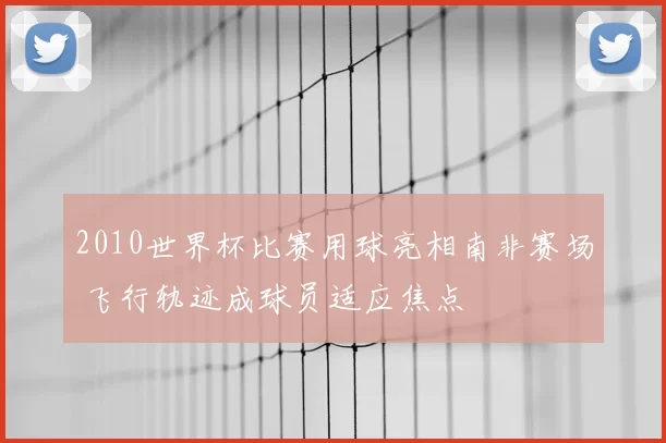 2010世界杯比赛用球亮相南非赛场 飞行轨迹成球员适应焦点
