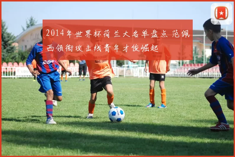 2014年世界杯荷兰大名单盘点 范佩西领衔攻击线青年才俊崛起