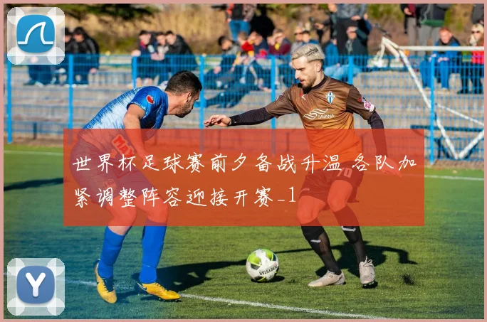 世界杯足球赛前夕备战升温 各队加紧调整阵容迎接开赛_1