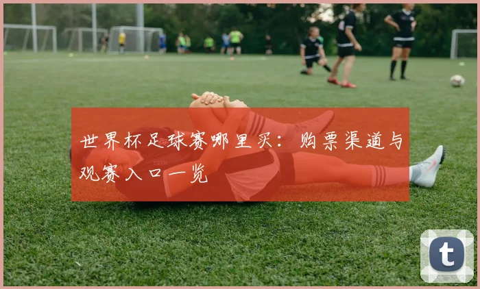世界杯足球赛哪里买:购票渠道与观赛入口一览