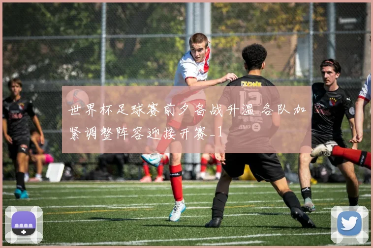 世界杯足球赛前夕备战升温 各队加紧调整阵容迎接开赛_1