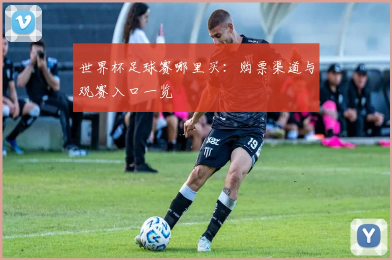世界杯足球赛哪里买：购票渠道与观赛入口一览